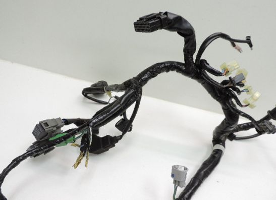 Kabelboom Honda CBR 125 R