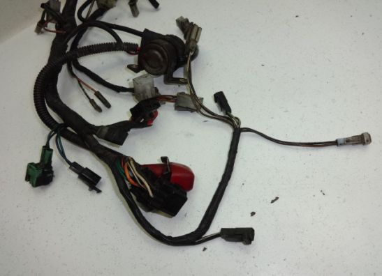 Kabelbaum Suzuki VX 800