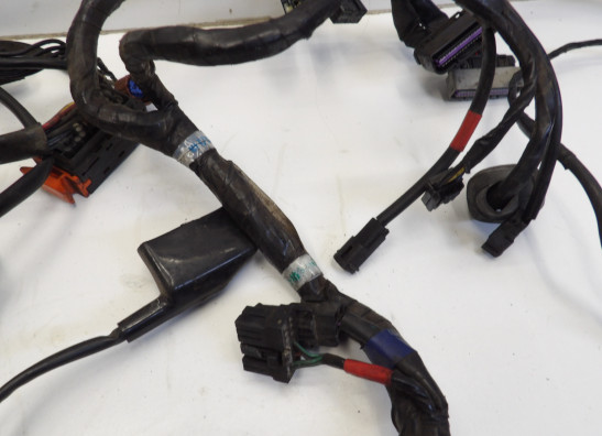 Kabelboom Triumph Sprint ST 1050