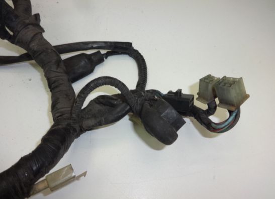 Kabelboom Honda CBX 750 F