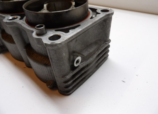 Cilinderblok Yamaha FZR 1000