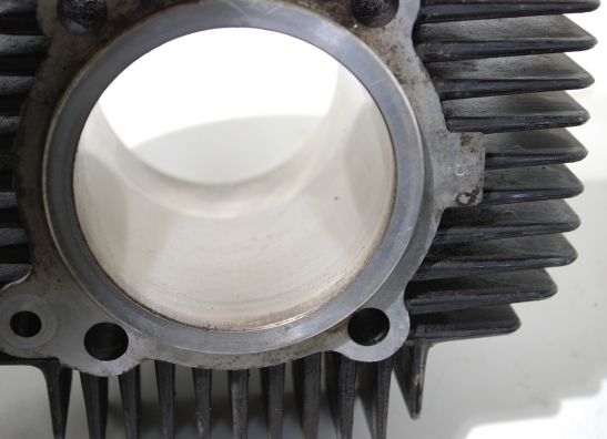 Cilinderblok Ducati 600 SS Supersport