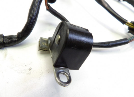 Dynamo Suzuki LS 650