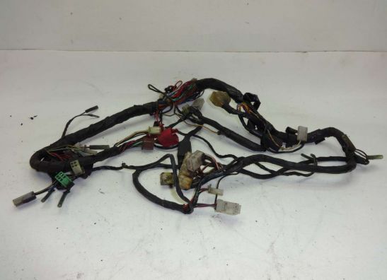 Wire Harness Kawasaki GPZ 900