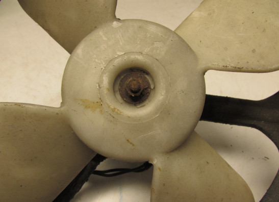 Fan Honda Goldwing GL