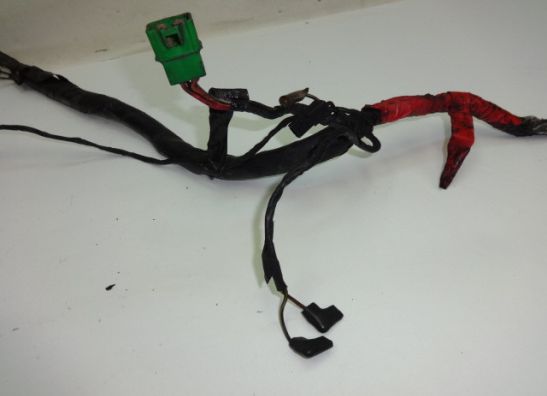 Wire Harness Suzuki GSX F 1100