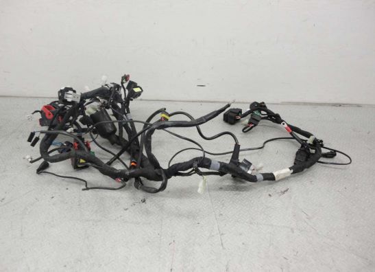 Kabelbaum Aprilia Shiver 750