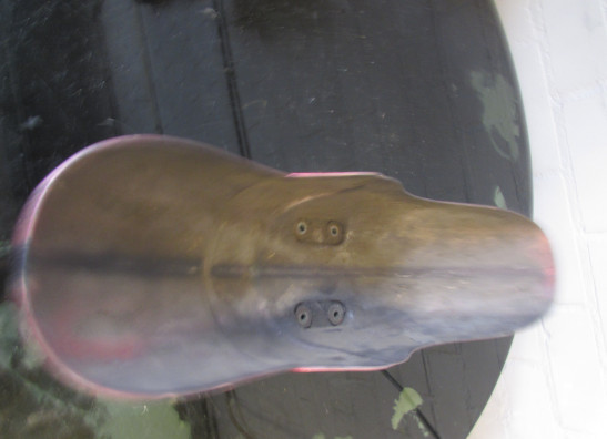 Kotflugel vorne Yamaha V max