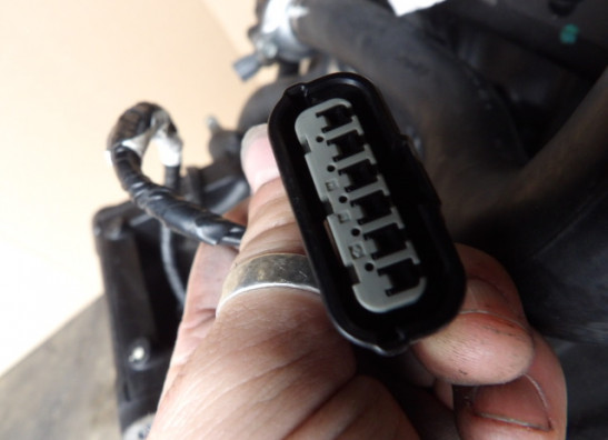 Motorblok Honda CBR 600 F