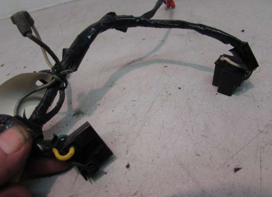 Wire harness front Yamaha FZR 600