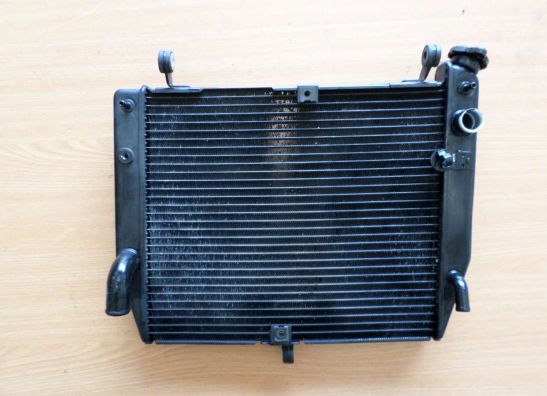 Radiator Yamaha YZF R1