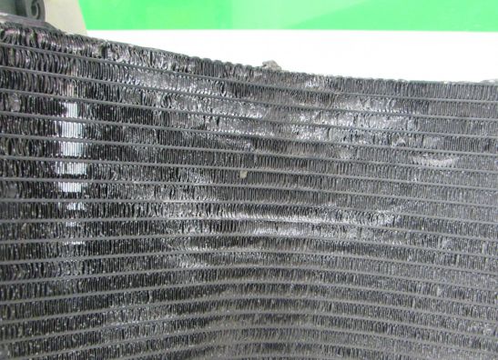 Radiator Suzuki GSX R 1300 Hayabusa