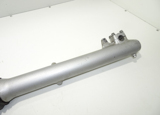 Standrohr Gabelholm rechts komplett BMW F 650