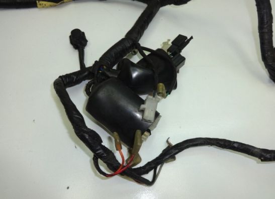 Wire Harness Yamaha TDM