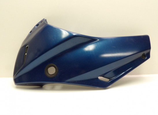 Kanzel links Suzuki GSF 600 650 Bandit 