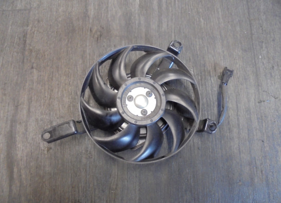 Fan Suzuki GSR 600