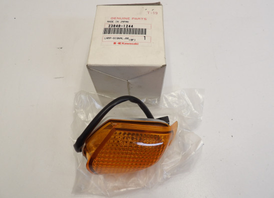 Winker right rear Kawasaki ZZR 600