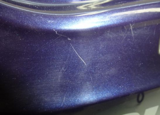 Heck Suzuki GSX F 1100