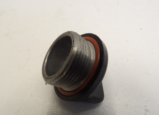 Motorblok diverse Yamaha V max