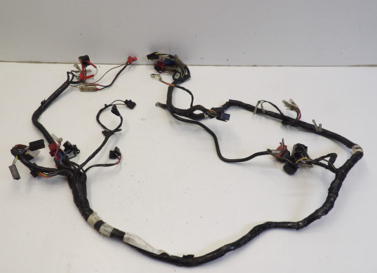 Wire Harness Kawasaki VN 800