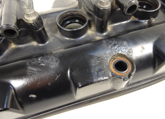 Kleppendeksel Triumph Street Triple 675