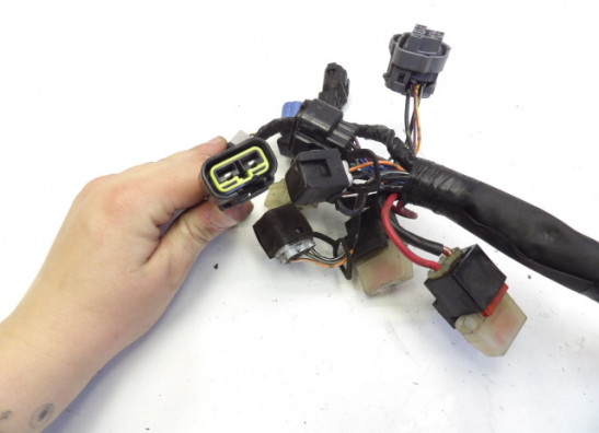 Kabelboom Suzuki Burgman 650