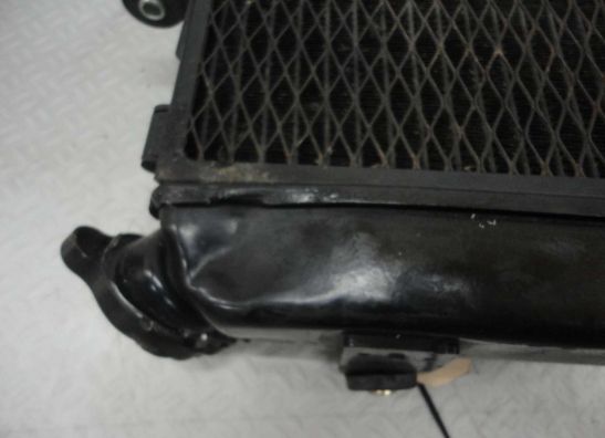 Radiateur Yamaha TDM
