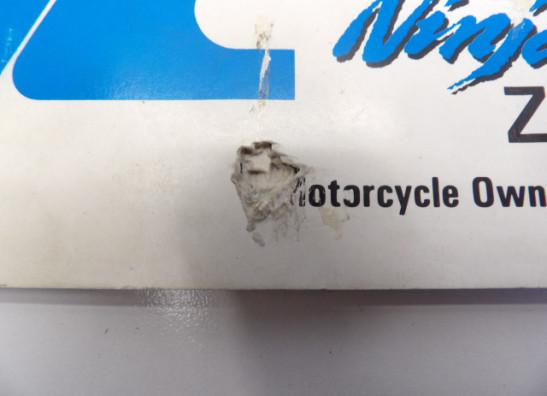 Manuel Kawasaki ZX 10 R