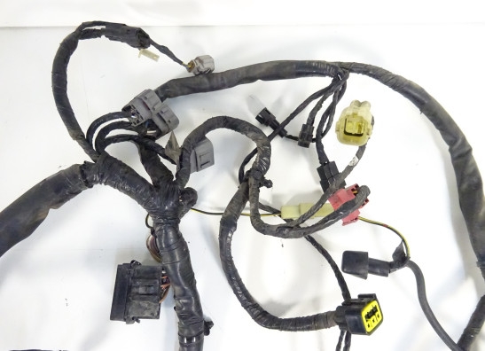 Wire Harness Kawasaki ER 6
