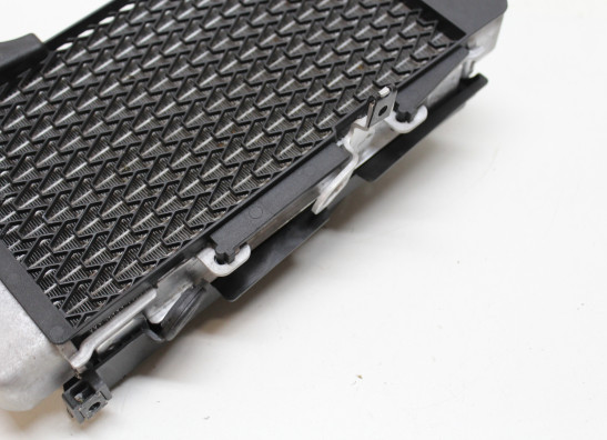 Radiateur Honda CRF 1100L Africa Twin Adventure Sports ES