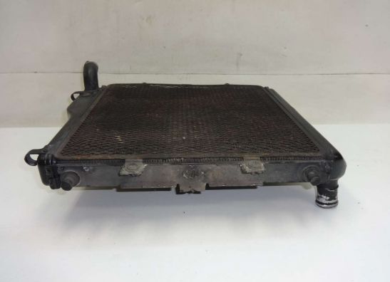 Kuhler Kawasaki GTR 1000