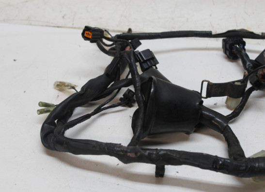 Kabelbaum Yamaha FAZER 1000