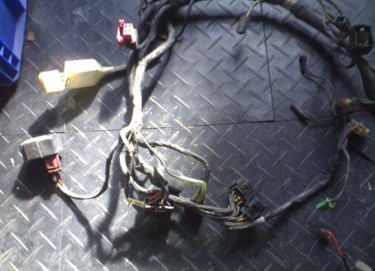 Kabelboom Kawasaki ZZR 600