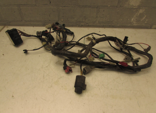 Wire Harness Kawasaki ER 5
