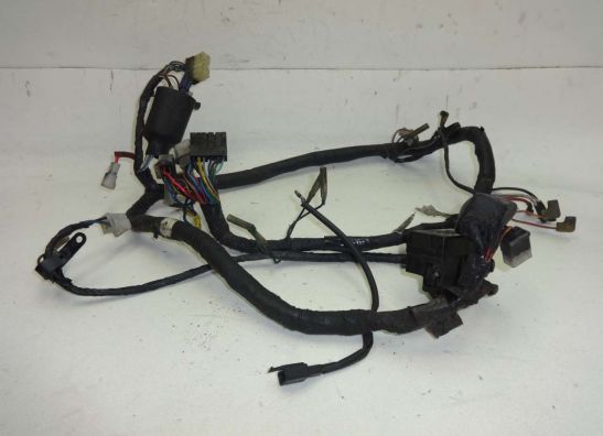 Wire Harness Yamaha TDM