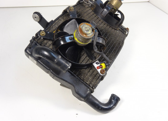 Radiator Ducati 749  999