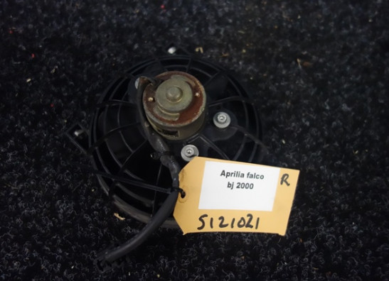 Fan Aprilia Falco