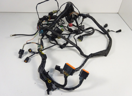 Wire Harness Kawasaki ER 6
