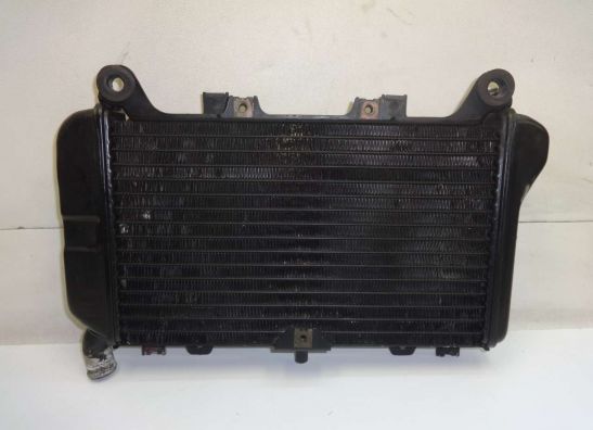 Radiator Kawasaki ZZR 600
