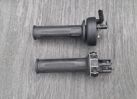 Grip BMW R 1250 GS