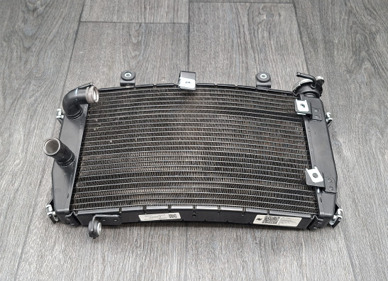 Radiateur Aprilia RS 457