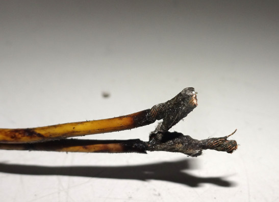 Lichtmaschine Kawasaki LTD 440