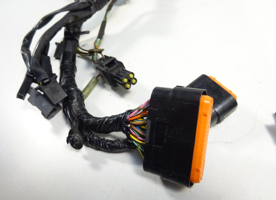 Wire Harness Kawasaki ER 6