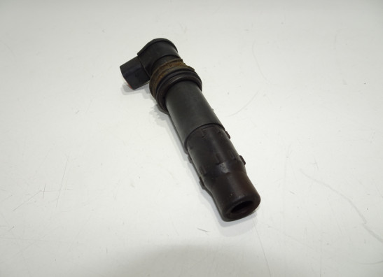 Bobine Ducati Monster S4