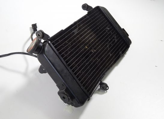 Radiator Suzuki SV 650