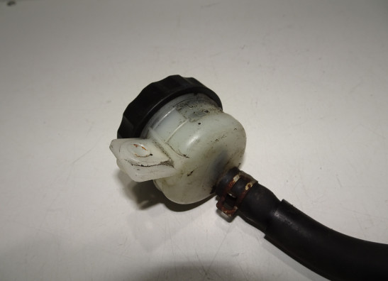 Rempomp achter Triumph Tiger 900