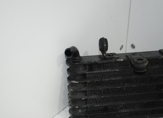 Oil cooler Aprilia Caponord 1000