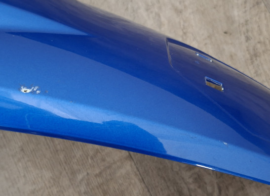 Tankschutz BMW R 1200 GS LC