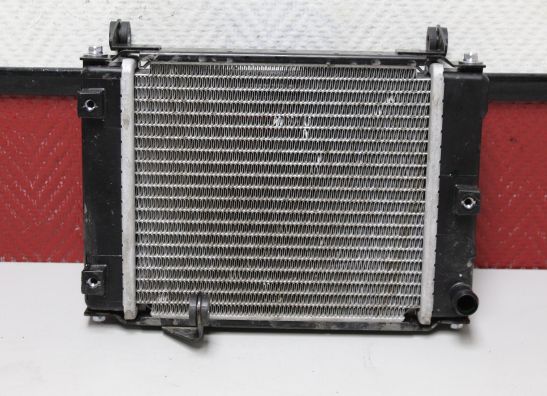 Radiator Kymco Downtown 350i