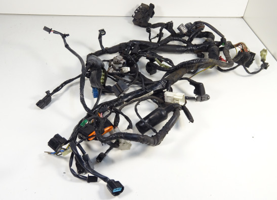 Wire Harness Kawasaki VERSYS 650